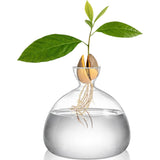 Avocado Vase