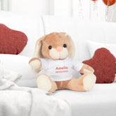 Personalized Plush Toy with T-Shirt