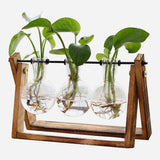 Air Planter Bulb Glass Vase