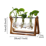 Air Planter Bulb Glass Vase