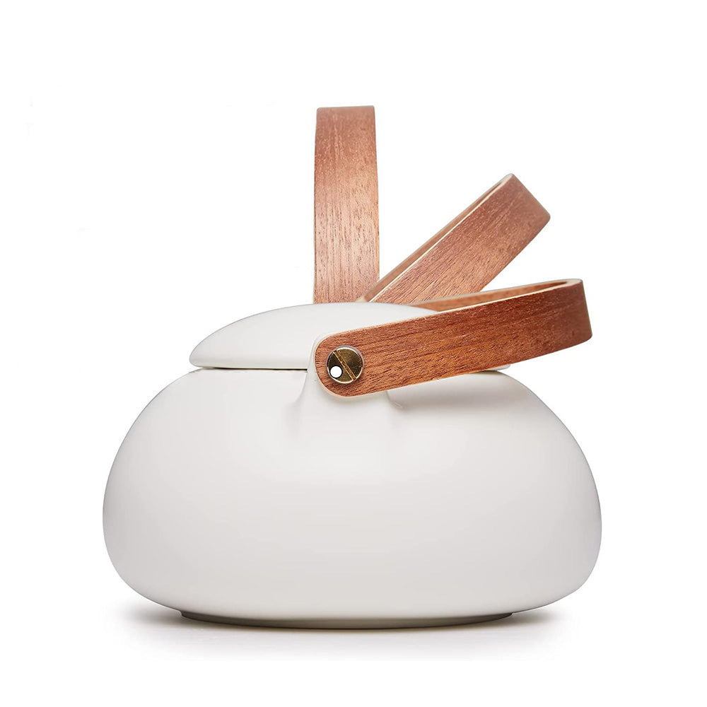 Contemporary Japanese Teapot Set