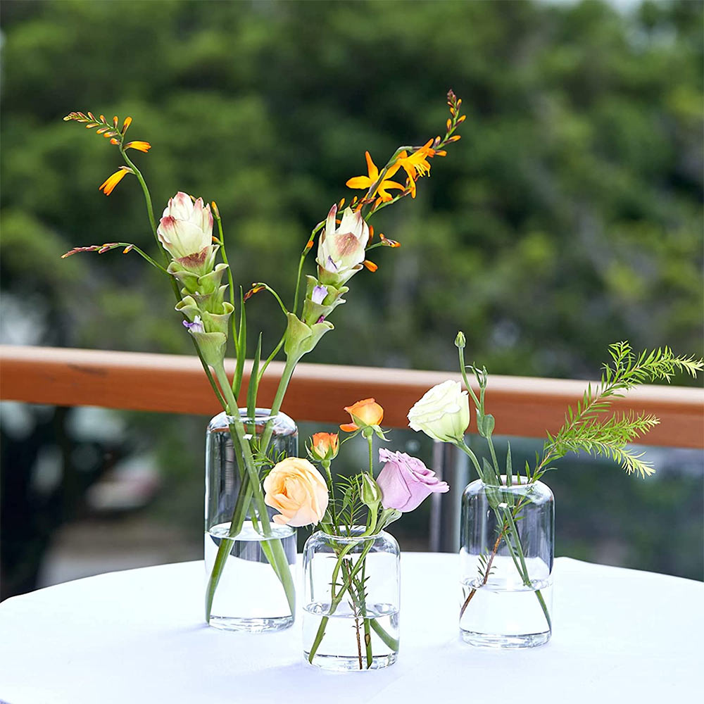 Minimalist Small Clear Bud Vases Set of 3 - transparent