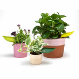 Leaflow Pot Watering Funnel Set of 3