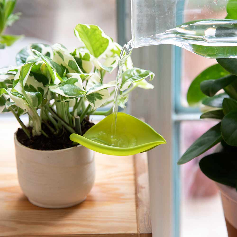 Leaflow Pot Watering Funnel Set of 3