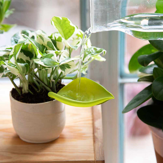 Leaflow Pot Watering Funnel Set of 3