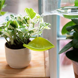 Leaflow Pot Watering Funnel Set of 3