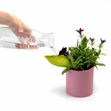 Leaflow Pot Watering Funnel Set of 3