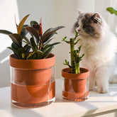 Self Watering Planter Pots 2 Pcs