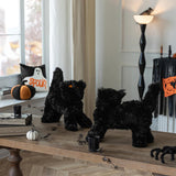 Halloween Scaredy Cat Throw Pillow