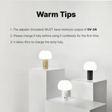 Mushroom Table Lamp