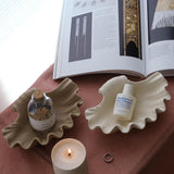 Sea Shell Jewelry Holder