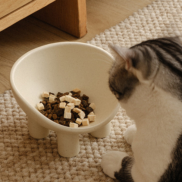 Ceramic Pet Cat Puppy Feeding Product, Ceramic Food Water Bowl