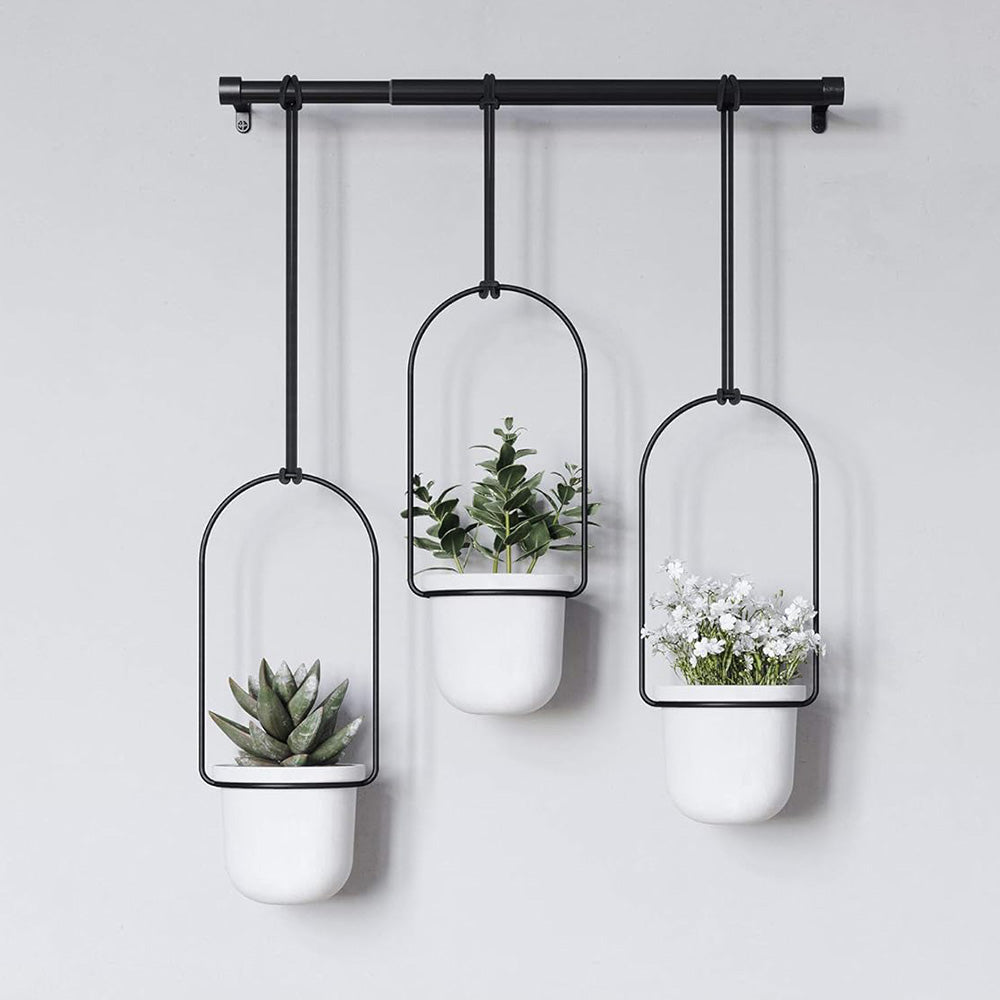 Triflora Triple Hanging Planter