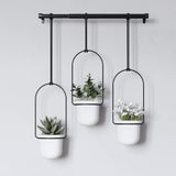 Triflora Triple Hanging Planter