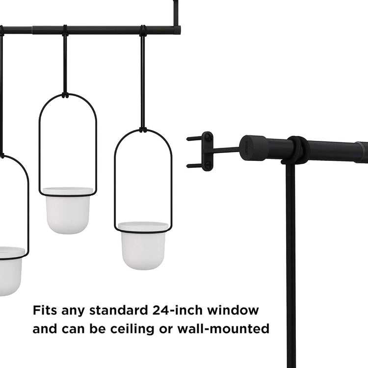 Triflora Triple Hanging Planter