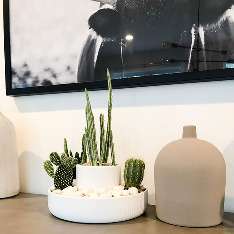 Fountain Planter & Organizer