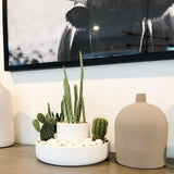 Fountain Planter & Organizer