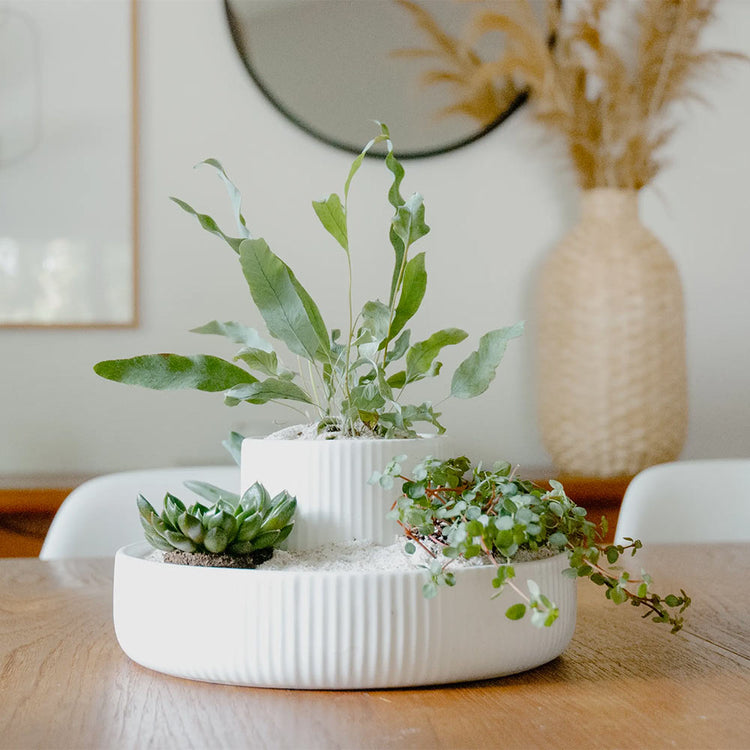 Fountain Planter & Organizer
