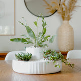 Fountain Planter & Organizer