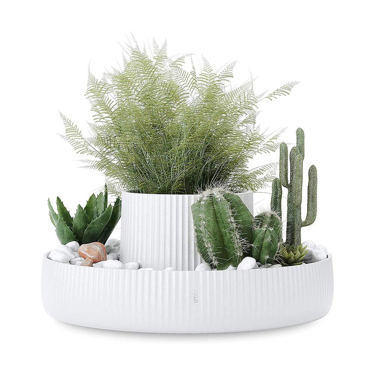 Fountain Planter & Organizer