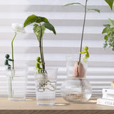 Leafriend Plant Propagation Buddy