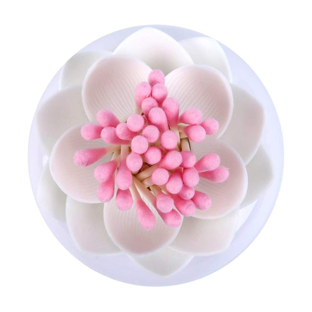 Lotus Cotton Bud Holder