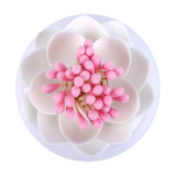 Lotus Cotton Bud Holder