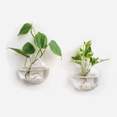 Wall Hanging Glass Vase Set of 2