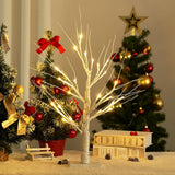 Birch Tree Light