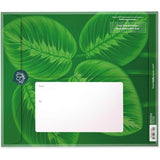 Prayer Plant Pop up Card