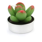Mini Succulent Tealight Candles 18 Pack