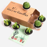 Mini Succulent Tealight Candles 6 Pack
