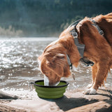 Collapsible Dog Bowl 2 Pack