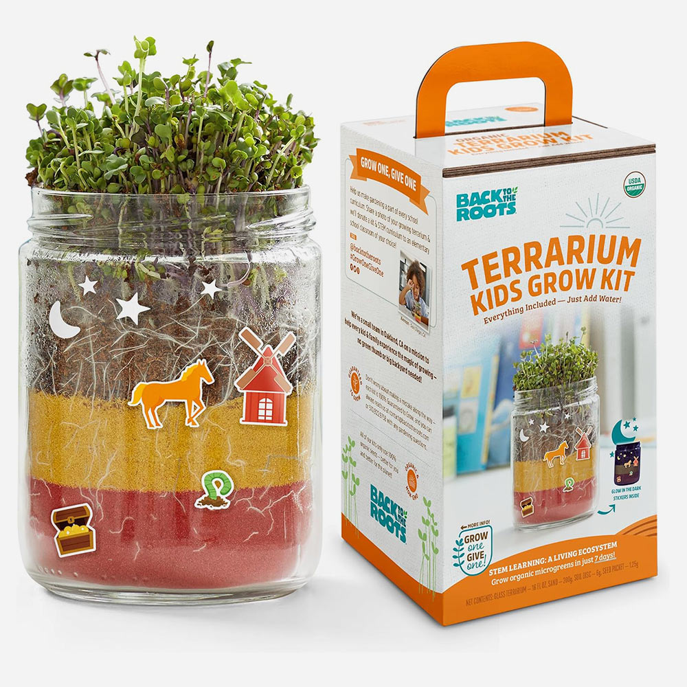Terrarium Grow Kit DIY