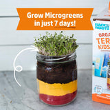 Terrarium Grow Kit DIY