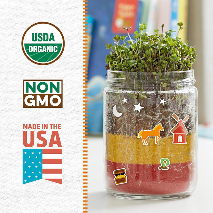 Terrarium Grow Kit DIY
