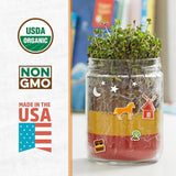 Terrarium Grow Kit DIY