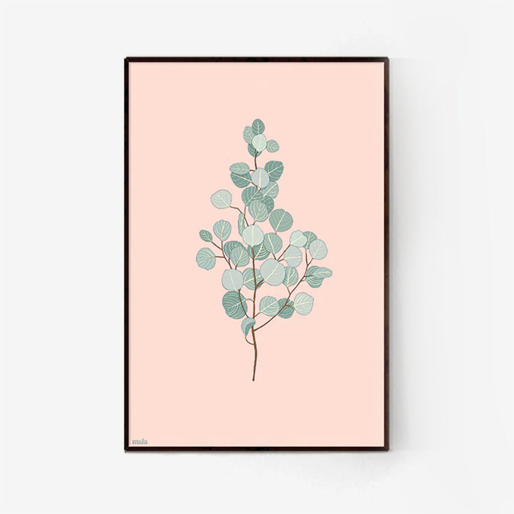 Eucalyptus-branch-grey.jpg_1