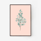 Eucalyptus-branch-grey.jpg_1