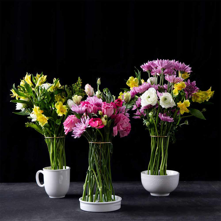 Invisivase-2.jpg