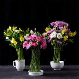 Invisivase-2.jpg