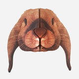 Lop-rabbit2.jpg_1