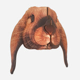 Lop-rabbit3.jpg_1