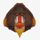 Mandrill3.jpg_1
