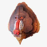 Mandrill.jpg_1