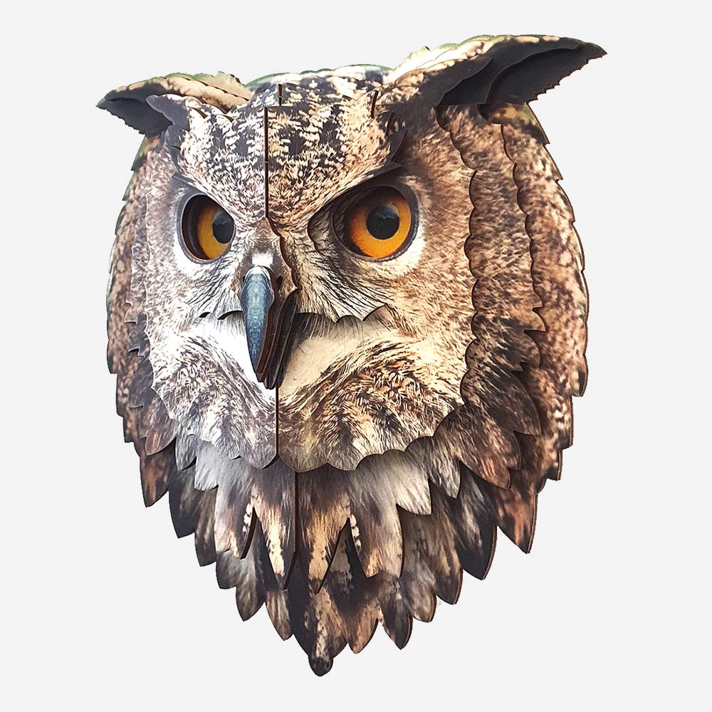 Owl.jpg