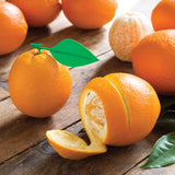 Peel Appeal - Orange Peeler