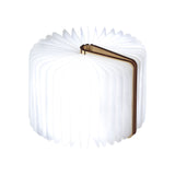 Smart-Book-Light-mini-wood4.jpg