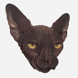 Spcat2.jpg_1