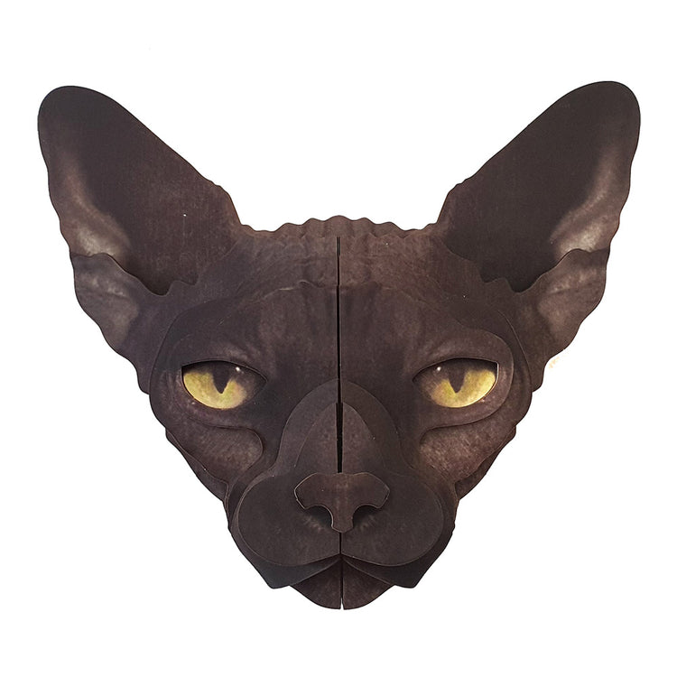 Spcat3.jpg_1